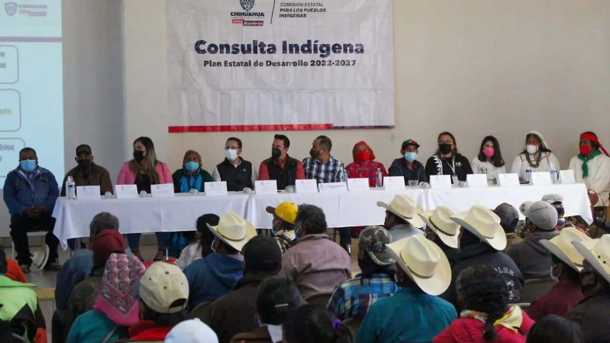 consula indigena